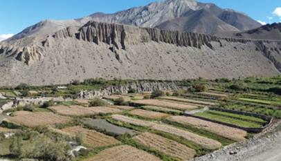 Mustang by Raaj Sharma