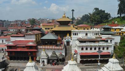 Pashupatinath: Lord of all Animals and Humans