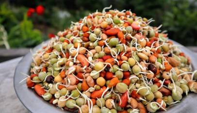 Qauty containing 9 ingredients