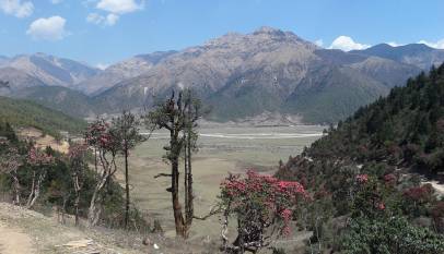 Dhorpatan Hunting Reserve