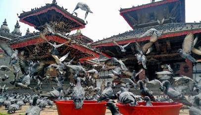 Kathmandu Durbar square