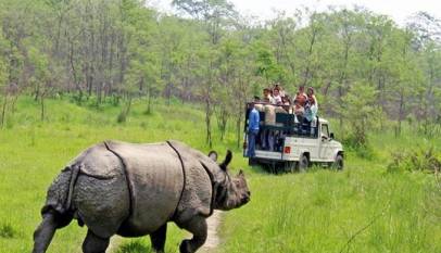 Wildlife Jungle safari at Sauraha, Chitwan