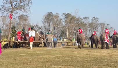 Elephant festival at Sauraha, chitwan