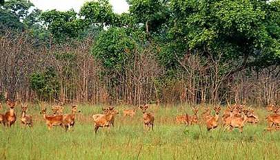 Suklapanta National Park
