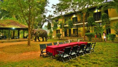 Sauraha Hotel